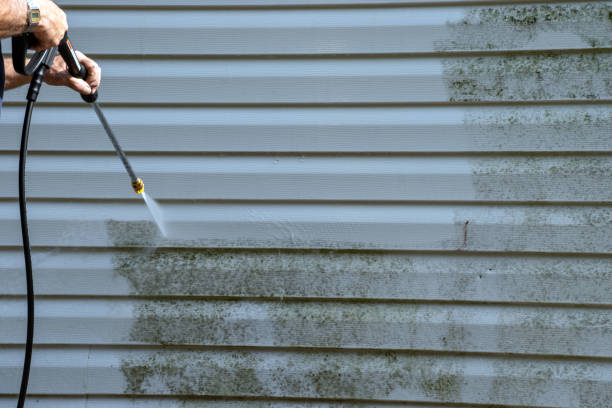 Best Yard Waste Removal  in Russiaville, IN